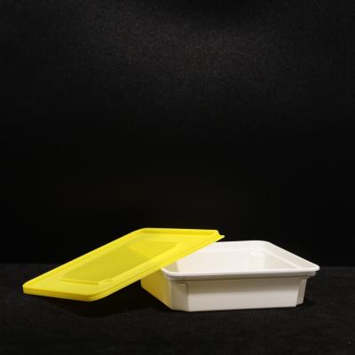 China Leakproof Disposable Lunch Box / Customized Food Packaging Box In PP Hard Plastic Material for sale