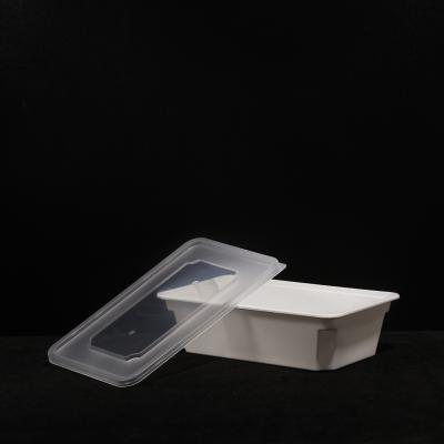 China PP Sandwich Packaging Box PP Lunch Box With Customized Printing For Hot And Cold Food for sale