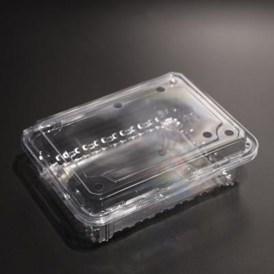 China FAD Certificated Clear Plastic Food Container Disposable Cold Food Storage Containers for sale