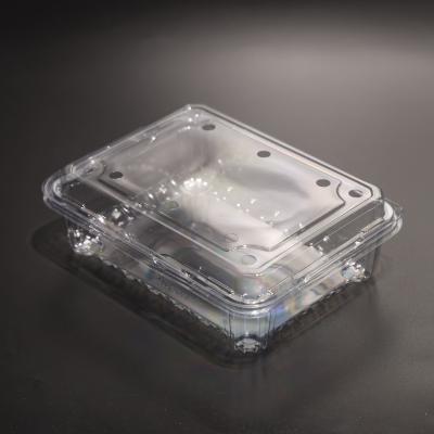 China Customizable PET Plastic Food Packaging Container Disposable Eco Friendly for sale