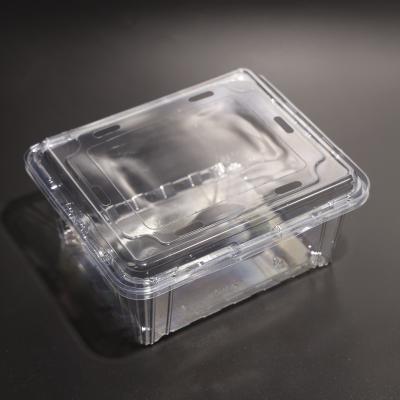 China Clear Disposable PET Plastic Food Containers With Lid BPA Free for sale