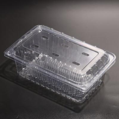 China Customizable Clear Plastic Food Container PET Food Packaging Plastic Containers For Food Storage for sale