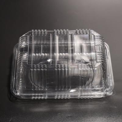 China Customized Color Plastic Food Container With Lid For Freezer Storage for sale