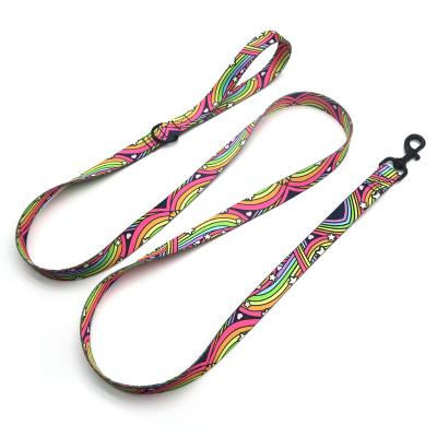 China Personalized Strong Dog Training Leash For Pet Walking Advance Control Safety Training Reflective for sale