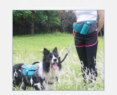 China Durable Water Resistant Hiking Travel Camp Running Bag Cute Dog Waist Fanny Pack Walking Bag for sale