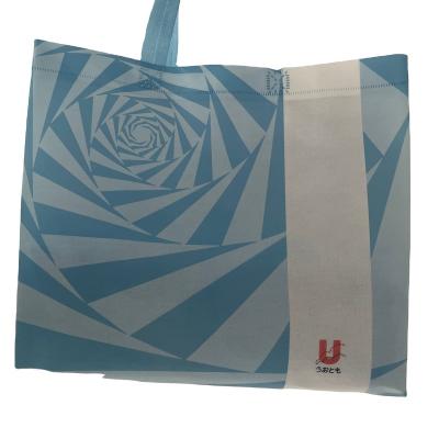 China Factory Direct Supply Eco - Friendly Nonwoven Canvas Bag For Gift for sale