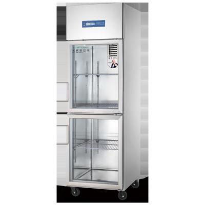 China Freezer Commercial Freezer Commercial Refrigeration Equipment Commercial Freezer Refrigeration Equipment Two Door Refrigerator and Freezer for sale