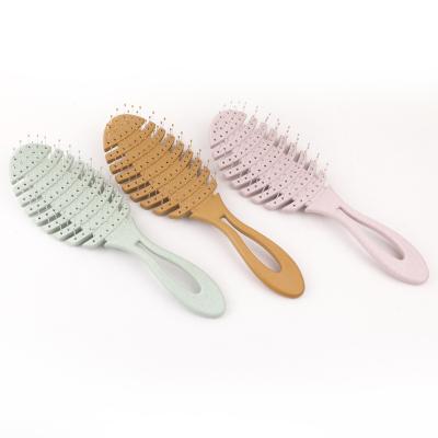 China Biodegradable Detangle Hair Brush Hair Art Comb Joint Creative Shampoo Brush Biodegradable Hair Brush and Comb for sale