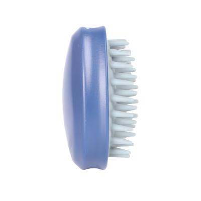 China Blue Silicone Shampoo Brush For Hair Foam Cleaner For Men And Women Girls Shampoo Inside Shampoo Brush for sale