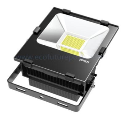 China 20W LED Floodlight Black case Bridgelux for sale