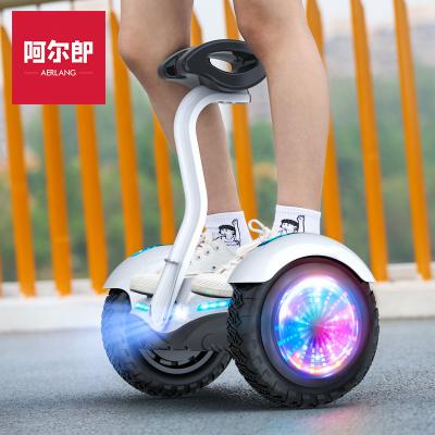 China Amusement AERLANG S11 Big Wheel Self Balancing Electric Scooter Hoverboard for sale