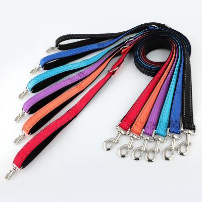 China Hot Selling America Amazon Pet Leash Safety Leads Custom Metal Dog Cat Leash Rope for sale