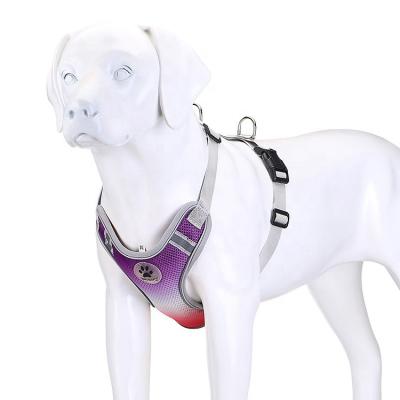 China 2022 Updates Gradient Design Color Gradient Dog Viable Comfortable Outdoor Training Dog Vest Large Adjustable Dog Harness for sale