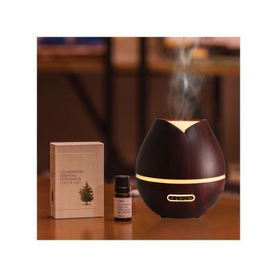 China RV 2021 Rohs Plastic Aroma Diffuser Electric Home Scent Diffuser for sale