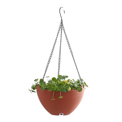 China Eco - Friendly Decorative PP Plastic Hanging Planters Flower Wall Pot Pots for sale