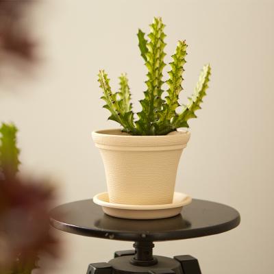 China CLASSIC Small Plastic Cheap Garden Plant Stand Pot With Tray Terracotta Flower Pot for sale