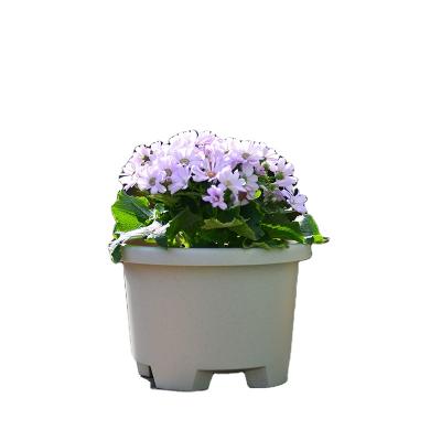 China Chinese style stand flower pot stands for indoor outdoor AROUND office living room for sale