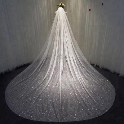 China NW1354 Delicately Bridal Long Veil Real Sample for sale