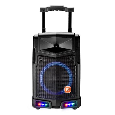 China No Amazon OEM Party King 8 Inch Karaoke Speaker With 2 Mics for sale