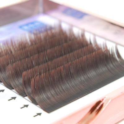 China Wholesale Natural Factory Curl New Dark Brown Color Caramel False Eyelashes 0.05 Grafting Planting Eyelashes for sale