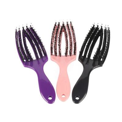 China Compact Detangler Exhale Hair Brush Boar Bristle Curve Hair Brush Professional Quick Dry Hair Brush for sale