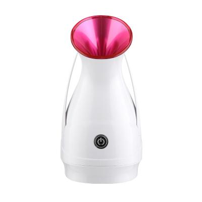 China Europe and America Facial Steamer Steam Inhaler Professional Face Skin Lifting Applicable for sale