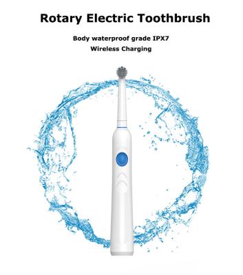 China IPX7 Waterproof Rotary Electric Toothbrush With Replacement Head for sale