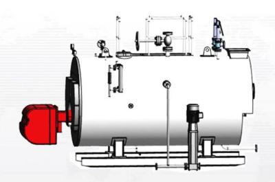 China Industrial Gas Fired Boiler Wave Furnace Design Low Consumption Easy Operation for sale