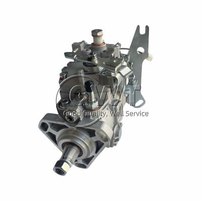 China 104641-8171 Bomba de inyección de combustible VE diesel VE4/11F1125RNP2644 para Zexel en venta