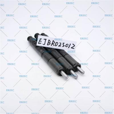 China Trait ERIKC High Speed ​​Steel Common Rail Injector EJBR02501Z Nozzle L136PBD Diesel Nozzle EJBR0 2501Z for sale