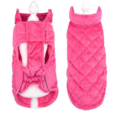 China Autumn and winter new sustainable pet clothes Holland velvet dog vest thickened warm dog fashions pet clothes for sale