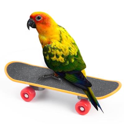 China New Parrot Accessories Bird Scooter Toy Anti Slip Finger Parrot Interactive Training Trolley Mini Plastic Toy Scooter Customize for sale