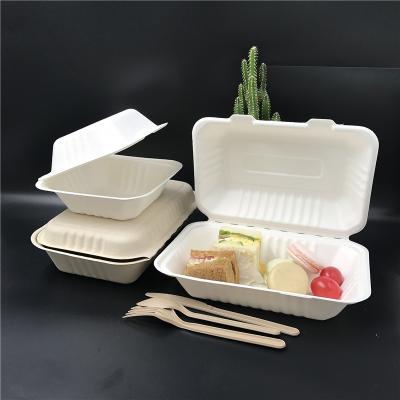 China 7*5 Inch Paper Bagasse Disposable Biodegradable Food Packaging Box Takeout Container With Lid for sale