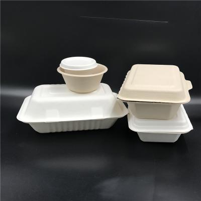 China 2021 new eco style bagasse disposable sustainable take out clmashell bento box biodegradable to go lunch box for school for sale