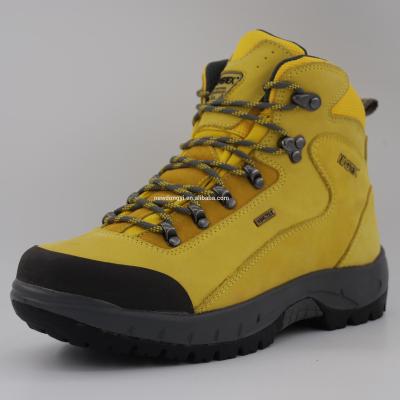 China Outdoor Classic Waterproof EVA D7711-D Men's Hiking Shoes for sale