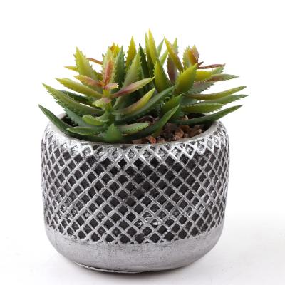 China High quality environmental protection touch potted real succulent artificial plants home balcony office table bonsai arrangements for sale