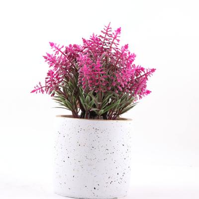 China Hot Sale Environmental Friendly Mini Decorated Plastic Artificial Succulent Plants Layout For Home Decoration for sale