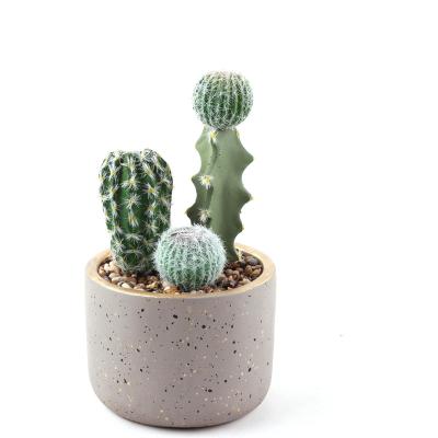 China QingHong Hot Selling Environmental Protection Decorative Artificial Succulent Potted Plants For Office Home Decoration for sale