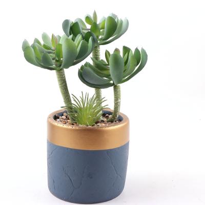 China Environmental Friendly Simulation Plant Garden Ornaments Potted Artificial Faux Succulent Plant For Office Home Decor for sale