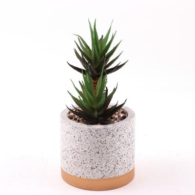 China Popular Customized Simulation Plants Mini Landscape Home Balcony Decoration Environmental Friendly Artificial Succulent Plants for sale