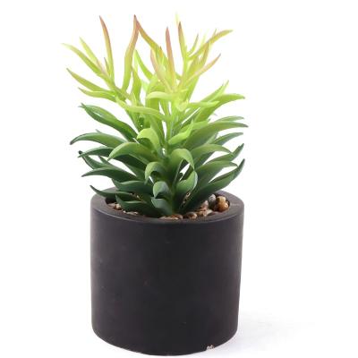 China Eco-friendly High Quality Artificial Succulents Simulated Plants Cement Potted Pot For Table Bookstore Office Home Decor for sale