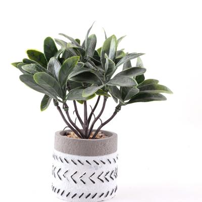 China Touch Natural Artificial Potted Plants Plastic Greenery In Pots For Indoor Table Decoration for sale