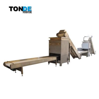 中国 Full Automatic Fresh Garlic Clove Segment Separator Skin Peeling Machine Line 600kg/h 販売のため