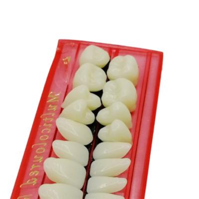 China Synthetic Resin Upper And Cover Lower Flexibility False Teeth Practical Dental Denture for sale