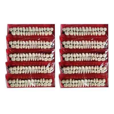 China Custom Dental Hospital Dental Hospital Partial Size Synthetic Resin Dentures Manufacturing for sale