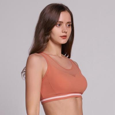 China Online wholesale yoga sports hot sexy quick dry breathable bra for women for sale