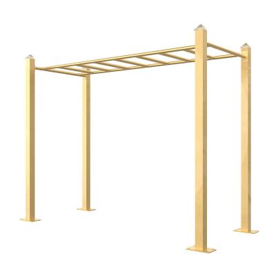 China Detachable for Less Space KINPLAY Fitness and Recreation Calisthenics Gymnasium Outdoor Equipment Horizontal Horizontal Ladder for sale