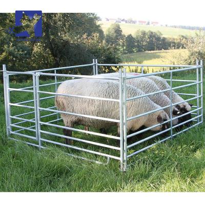 China Low Price Easily Assembled High Quality Galvanized Pipe Welded Sheep Panel Fence for sale