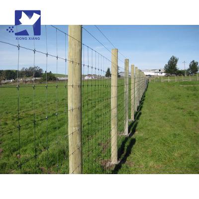 China Easily Assembled Grassland Fence Hinge Joint Galvanized Livestock Farm Fence Grassland Field Fence Botswana for sale