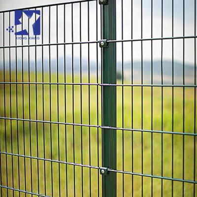 China 2D Easily Assembled Cheap Decorative Wire Mesh Panels 868 656 Double Wire Mesh Panels for sale